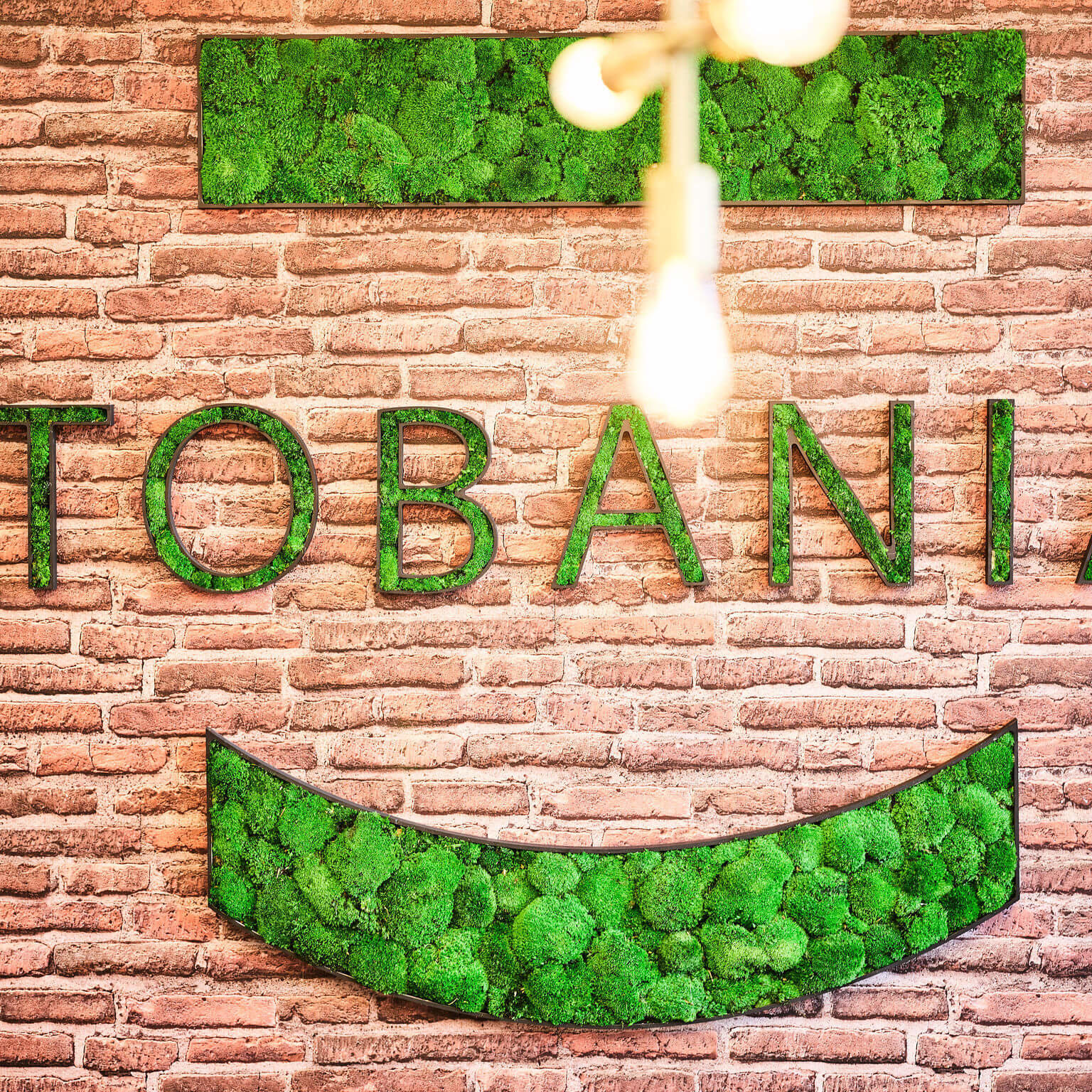Tobania - 1st Floor (66)